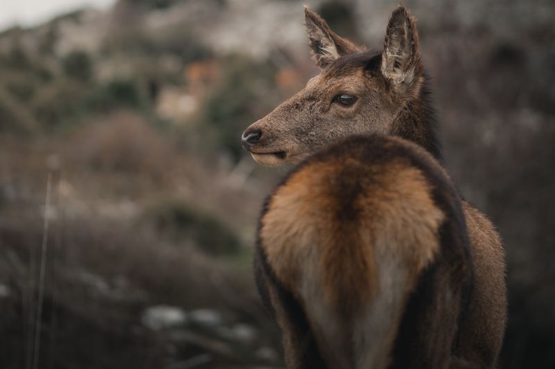 Zookoutek Valašské Meziříčí