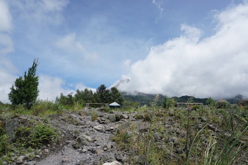 Free stock photo of volcano