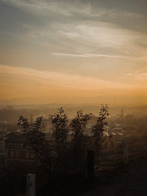 Imagine de stoc gratuită din apus, arbore, atmosferă sumbră