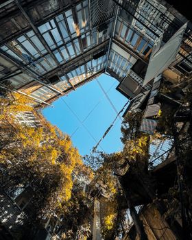 A unique perspective of architectural design intertwined with nature in Baku, Azerbaijan.