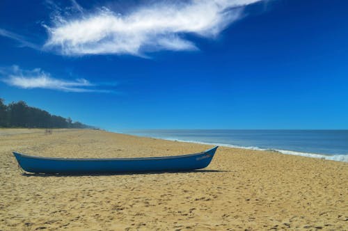 Free Blue Canoe Boat on Brown Sand  Stock Photo