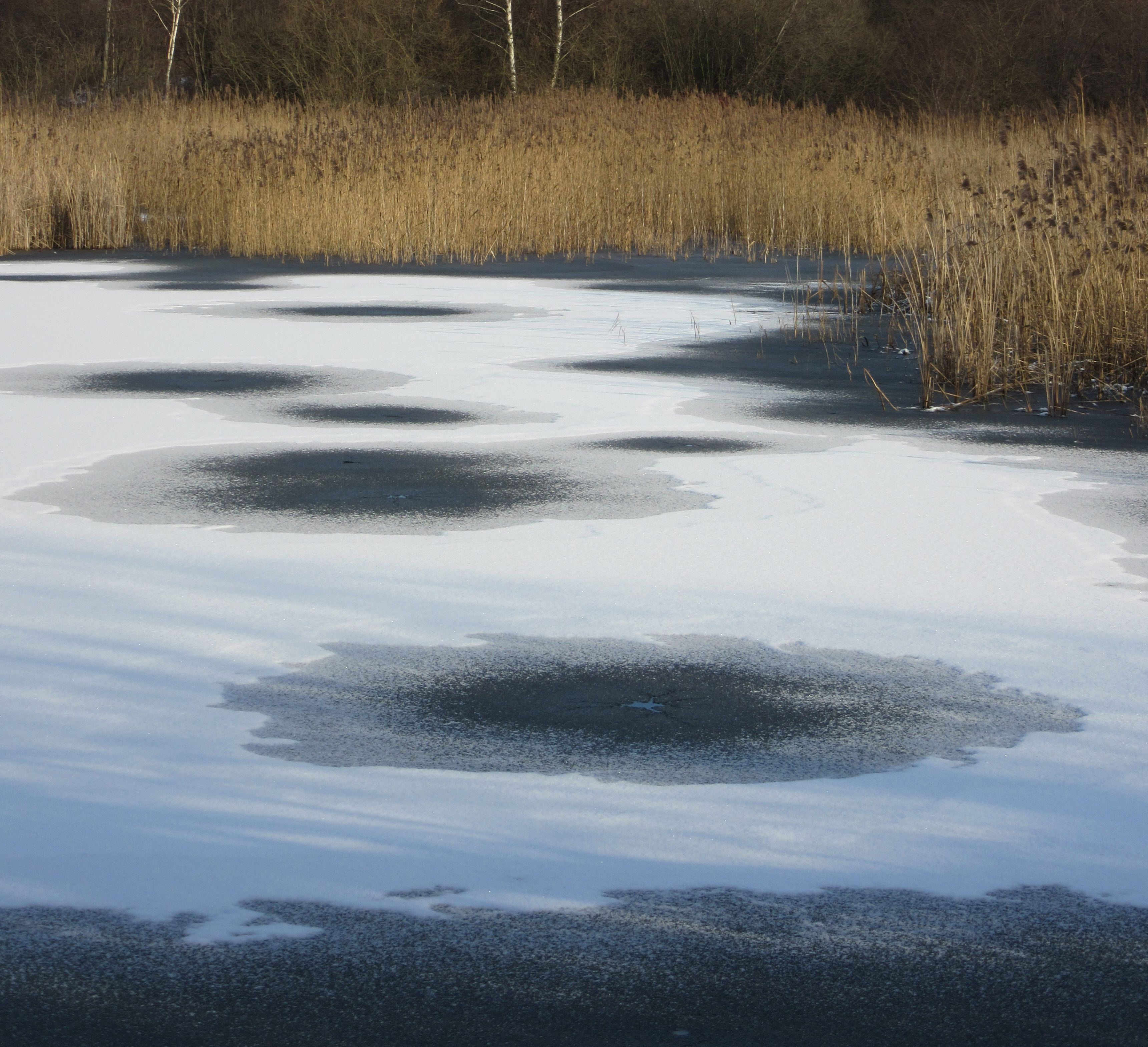 A serene landscape of a frozen lake with reeds and distinct ice patterns under a winter sky.