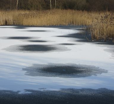 A serene landscape of a frozen lake with reeds and distinct ice patterns under a winter sky.