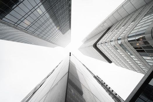 A dramatic low angle shot of modern skyscrapers reaching for the sky in a monochrome palette.