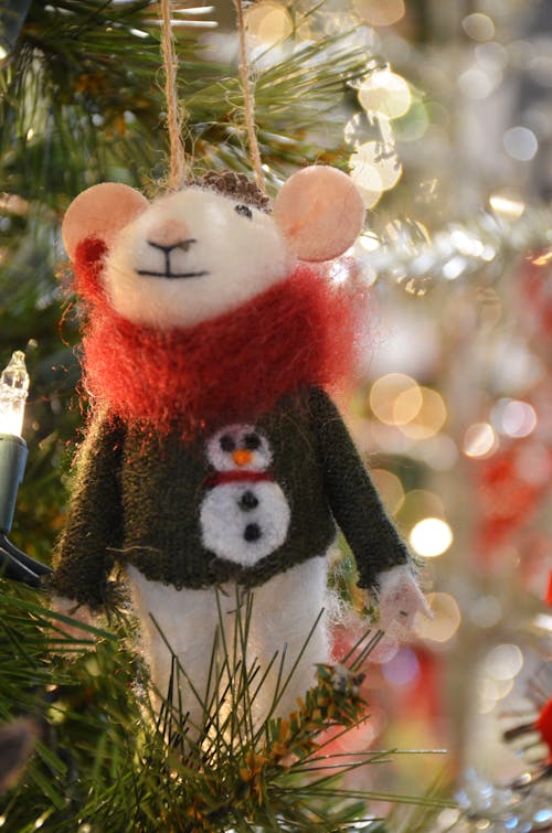 Free stock photo of christmas ornament, christmas sweater, mouse Stock Photo