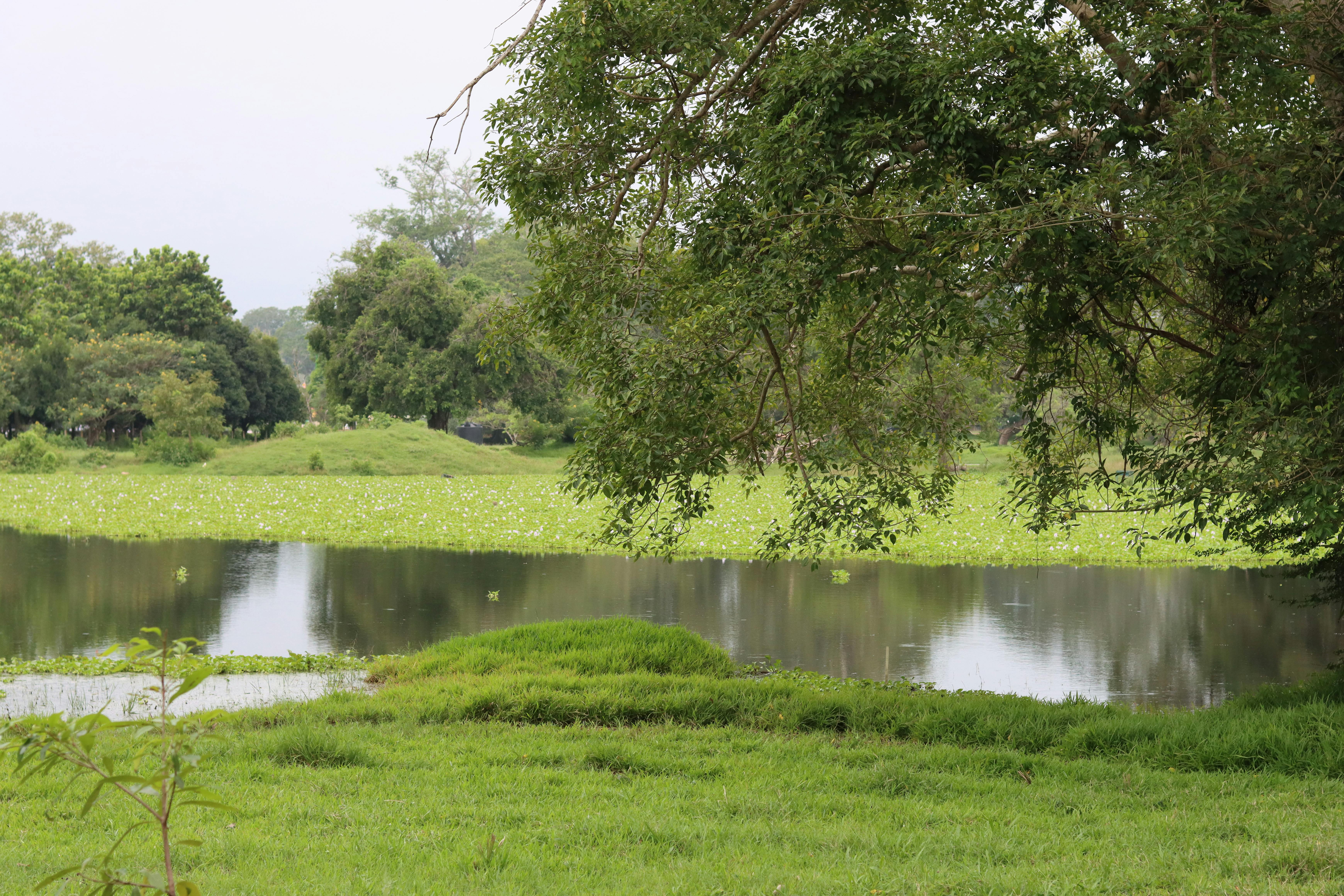 알마티 시내 풍경과 교통