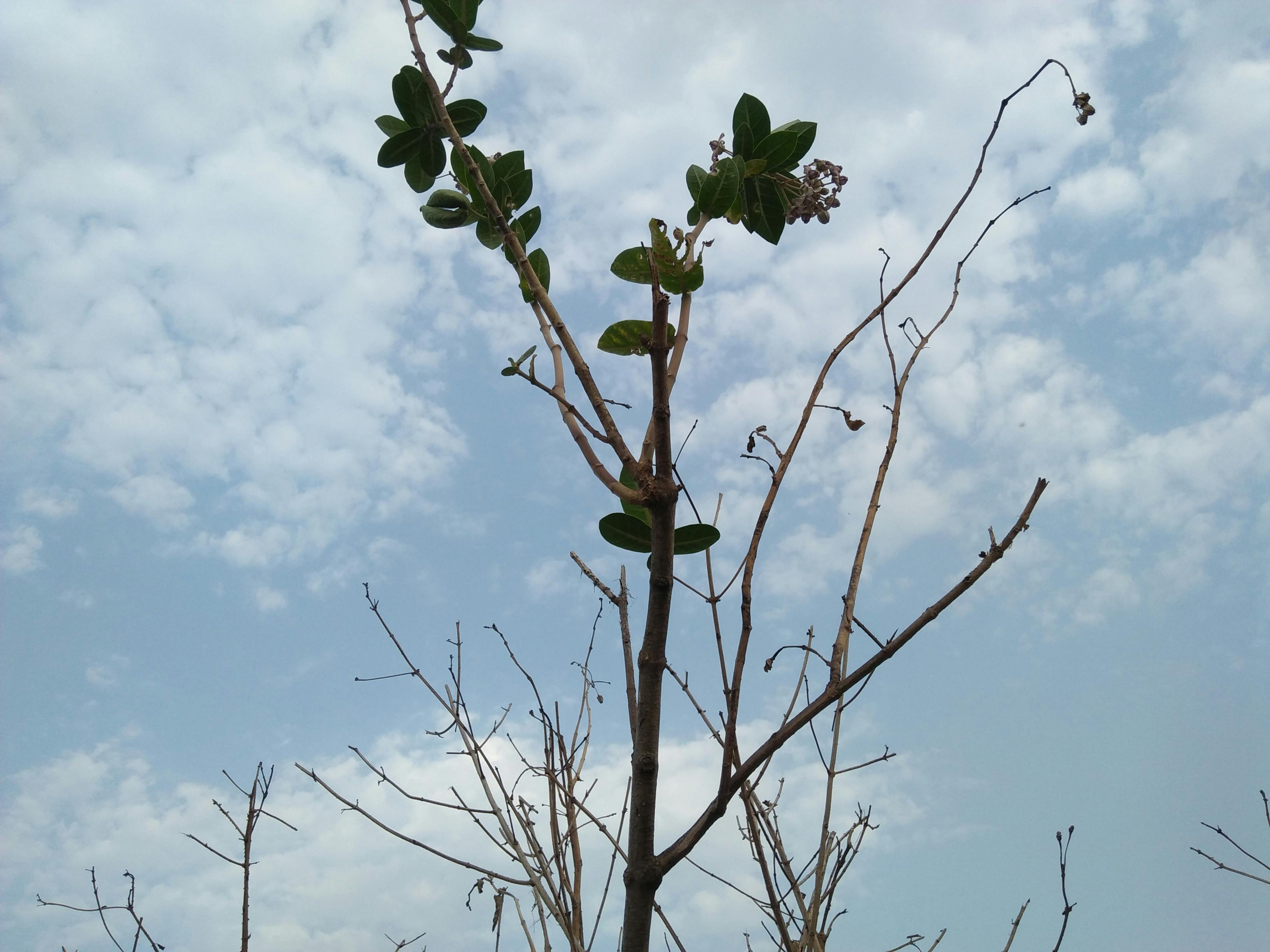 Bhutan 5 Nights & 6 Days Package