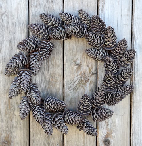 Free stock photo of christmas wreath, pine cone Stock Photo