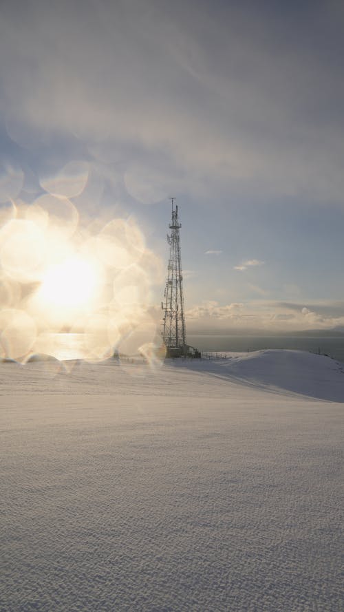 겨울, 눈, 눈 덮힌 땅의 무료 스톡 사진