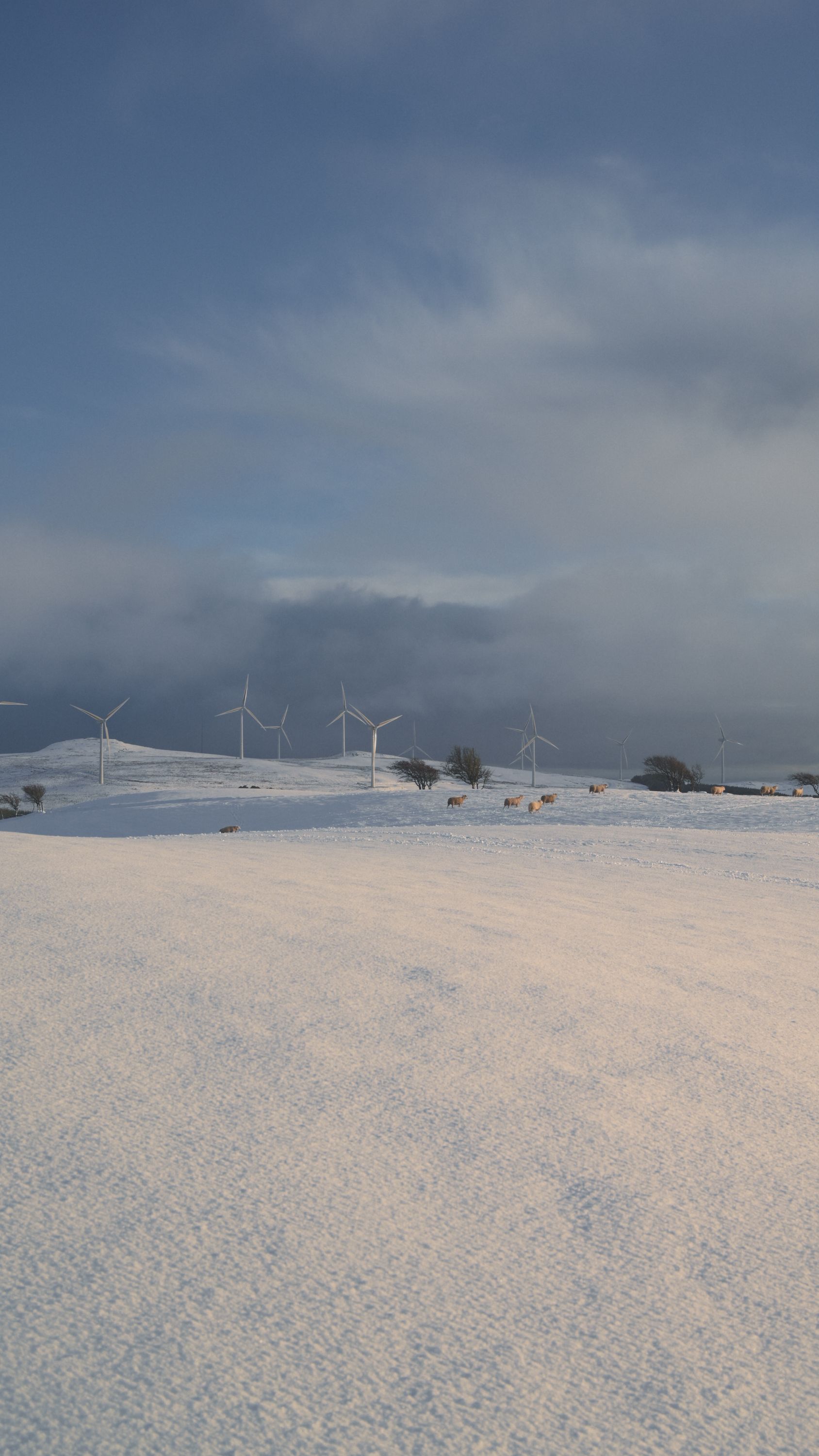Wind turbines over snow-covered hills in Scotland under a blue sky. Renewable energy scene.