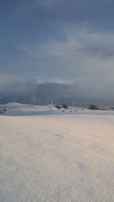 Wind turbines over snow-covered hills in Scotland under a blue sky. Renewable energy scene.