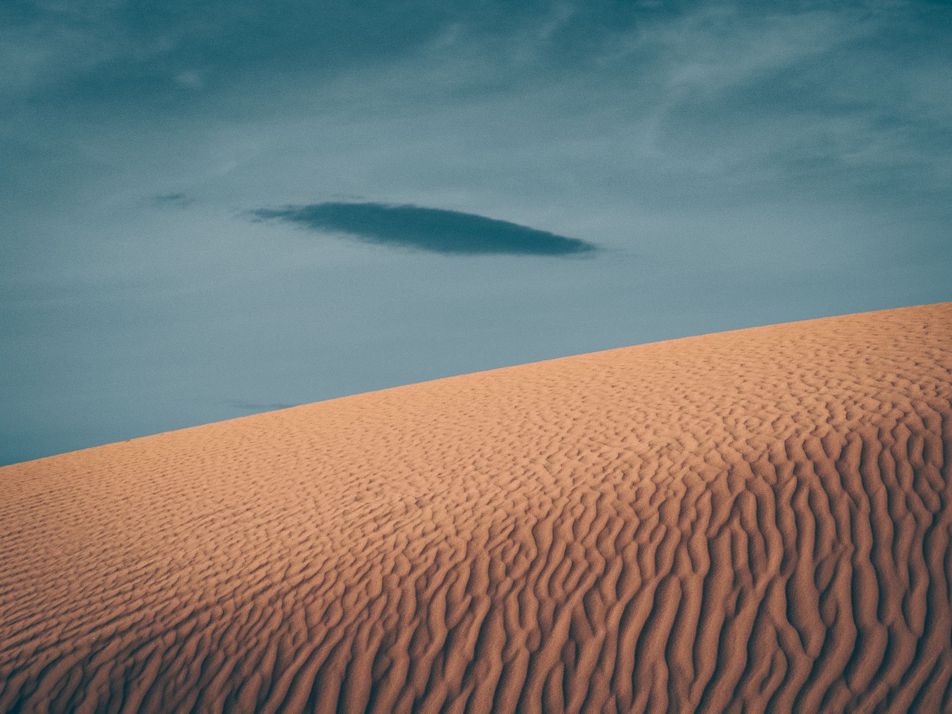 Serene desert landscape with rippling sand dunes under a clear sky in Algeria.
