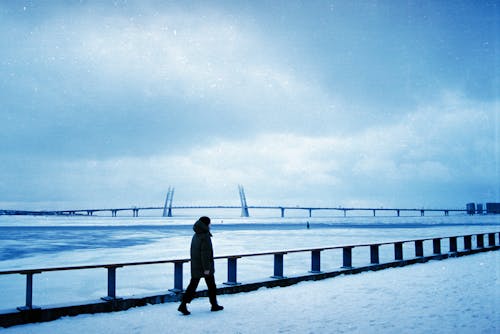 Gratis lagerfoto af bro, forkølelse, hav