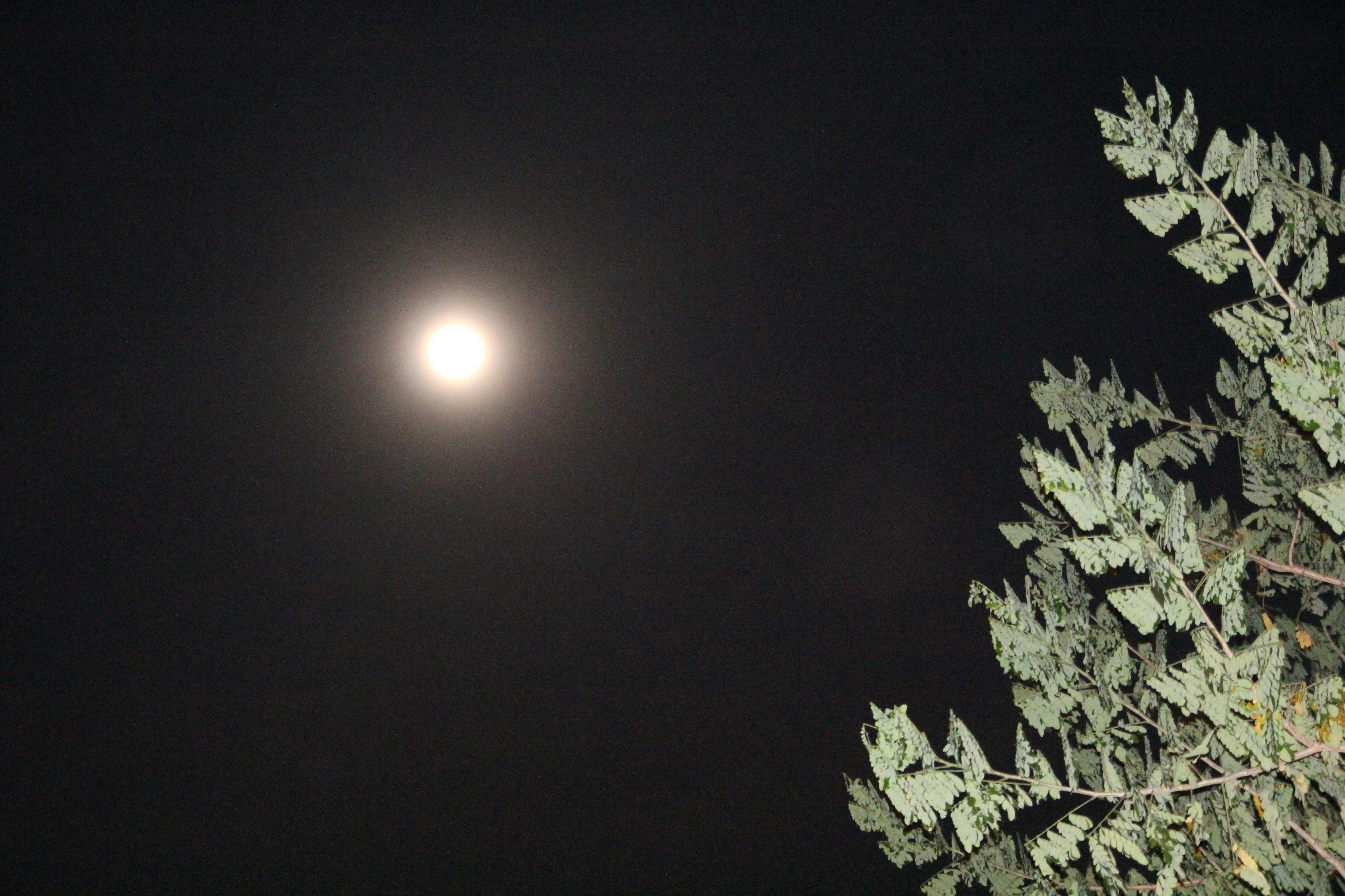 Free stock photo of beautiful moon, full moon, moon