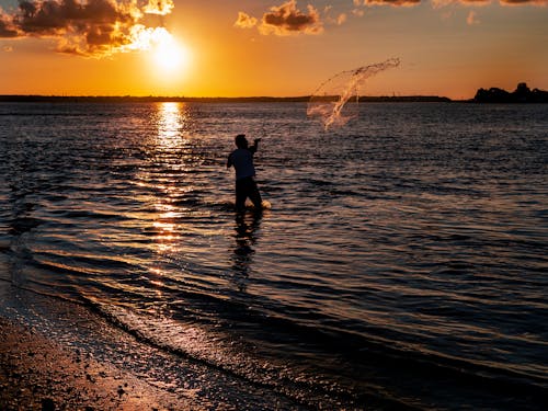 Kostnadsfri bild av fiskare, fiske, fiskenät