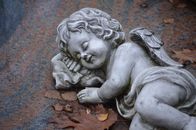 Free stock photo of ancient, angel, angel wings