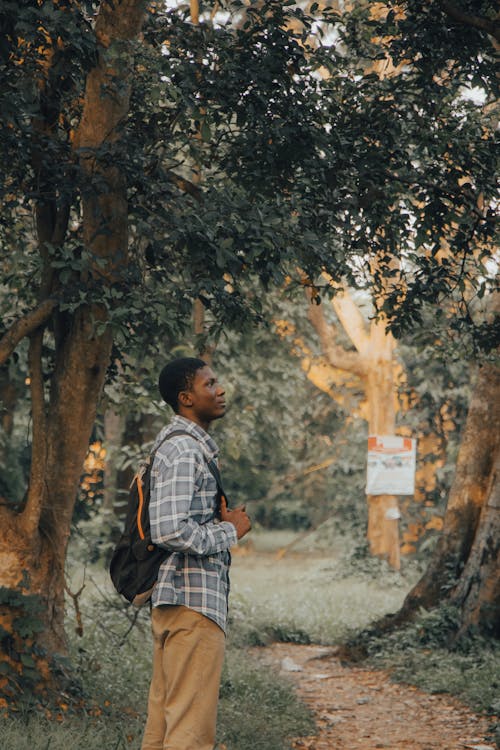 Gratis stockfoto met Afro-Amerikaanse man, avonturier, bos avontuur