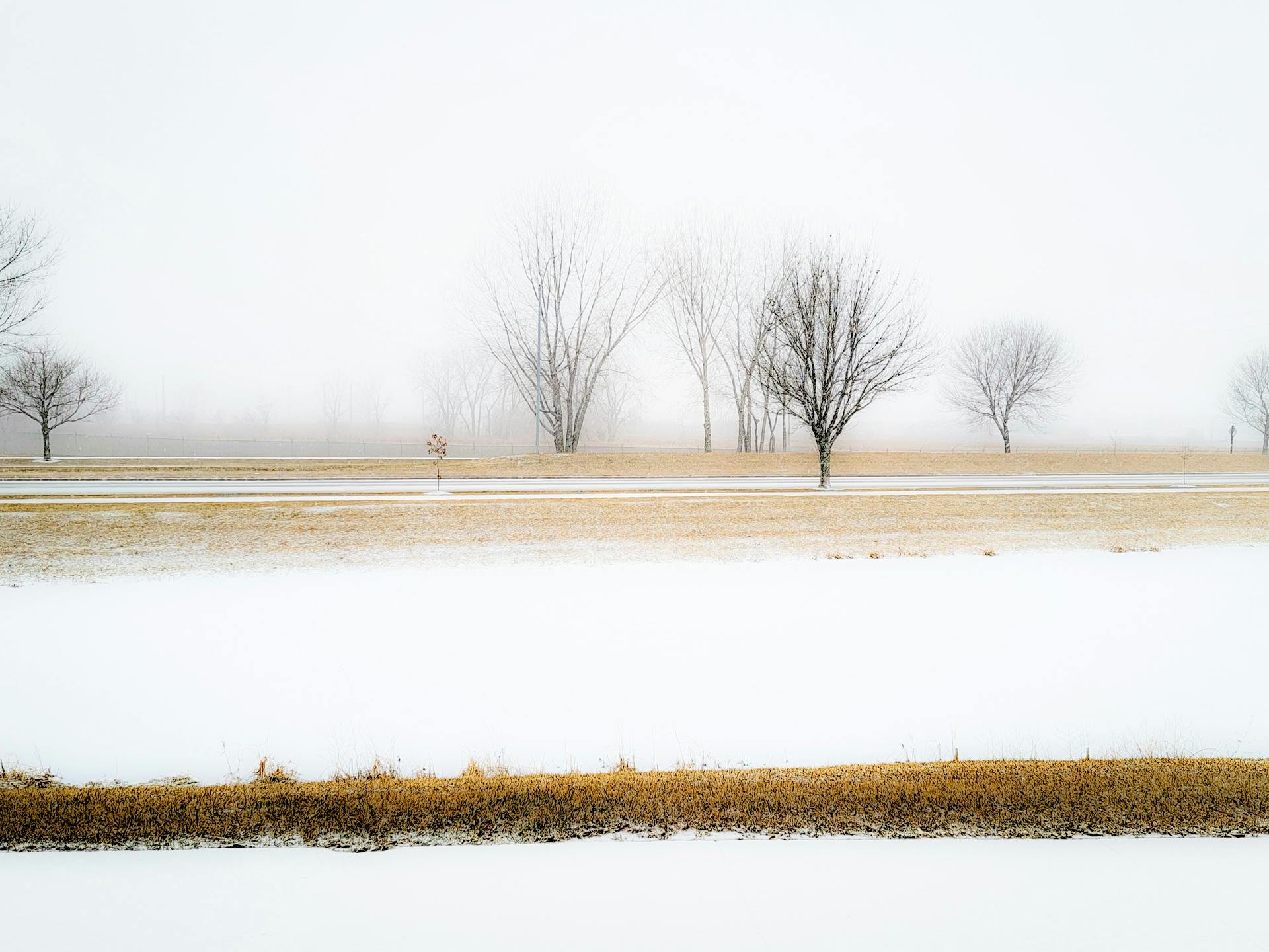 A serene winter scene with fog, bare trees, and snowy fields in Ankeny.