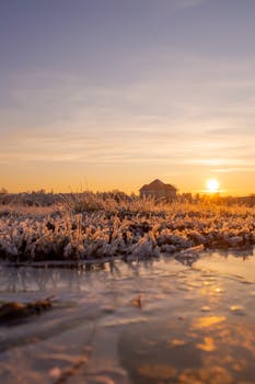 A stunning sunrise casts warm light on a frosty landscape with a tranquil lake.