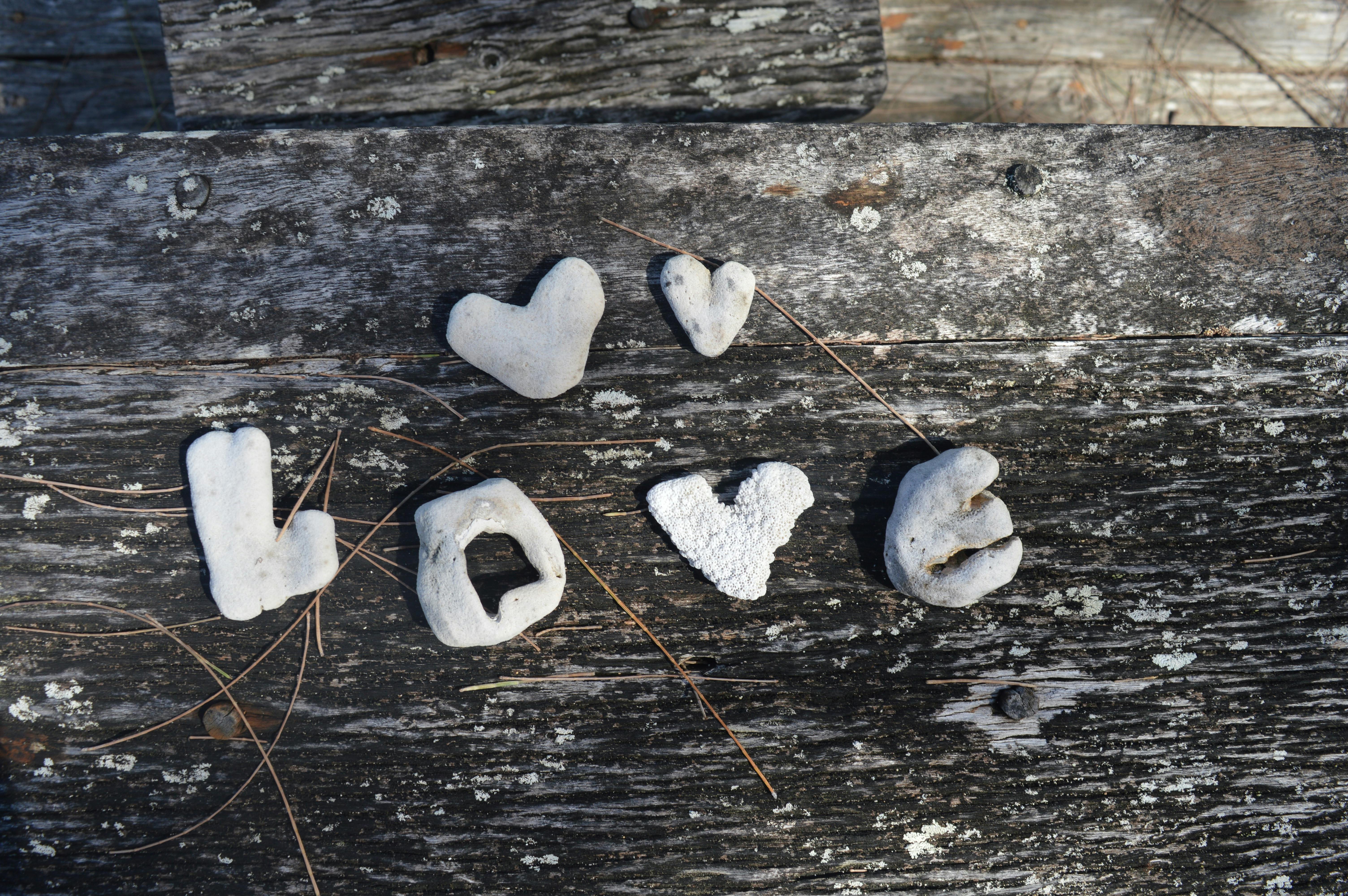 Free Stock Photo Of Coral I Love You In Love
