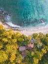 Bird Eye Photogrpahy of Beachline Beside Trees