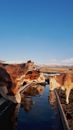 Horses on Field Under Blue Sky
