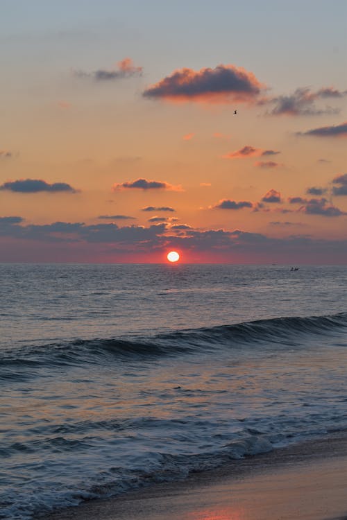 Gratis stockfoto met golven, gouden uur, h2o