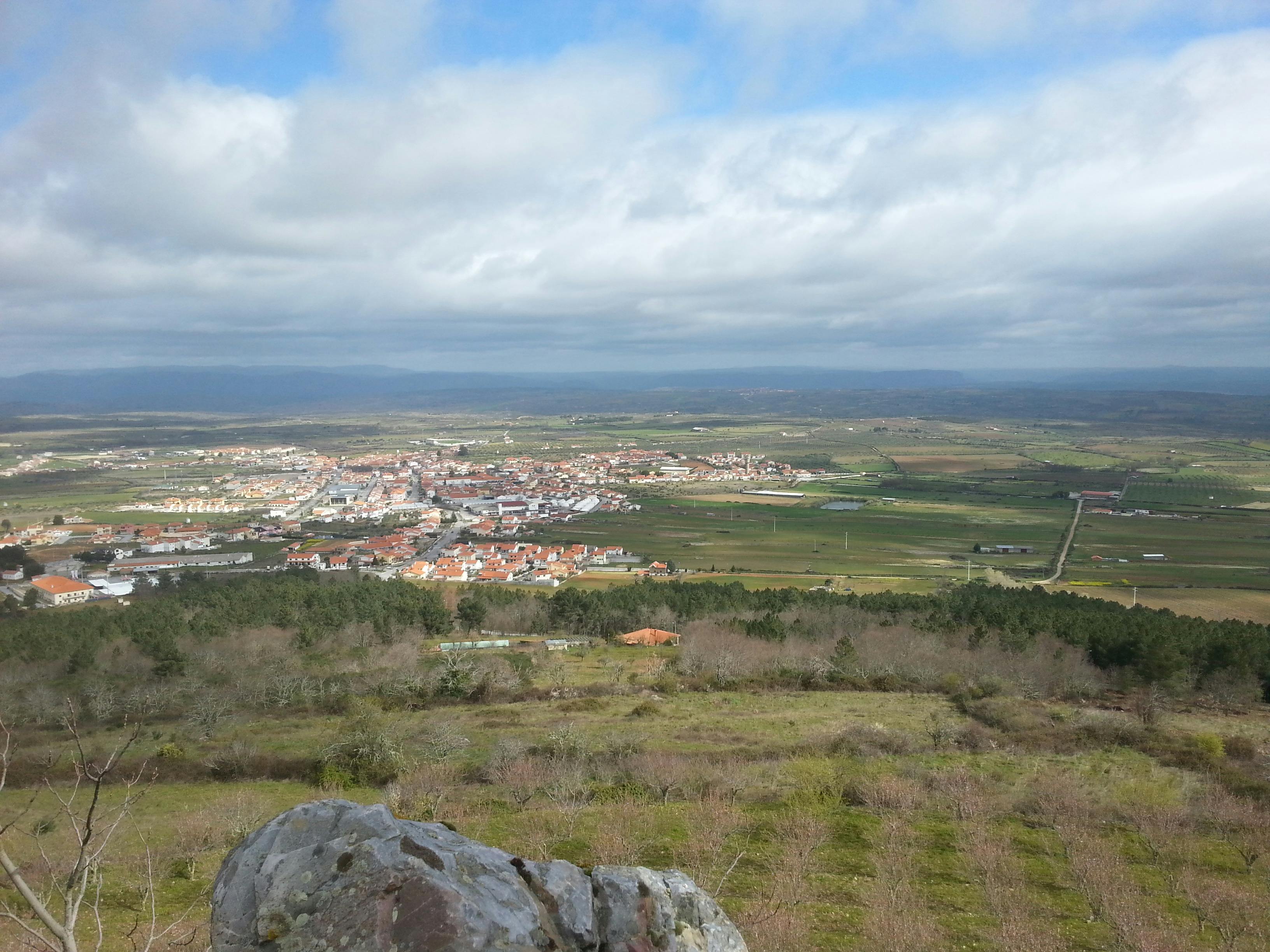 Deliciosos Xiaolongbao (dumplings de sopa) en una vaporera de bambú