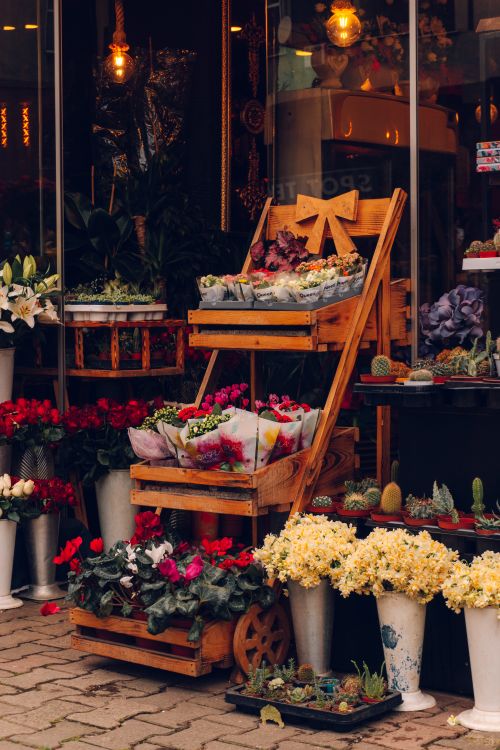 Free Vibrant flower shop display featuring a variety of colorful blooms and plants on a wooden shelf. Stock Photo