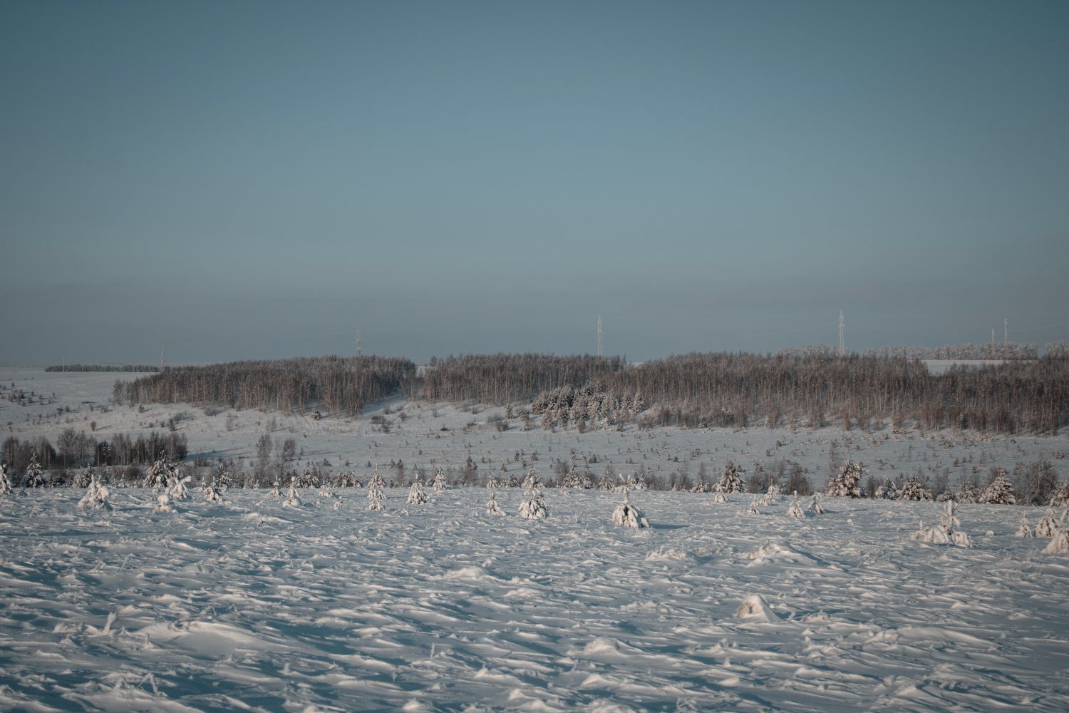 Distant Forest Photos, Download The BEST Free Distant Forest Stock ...