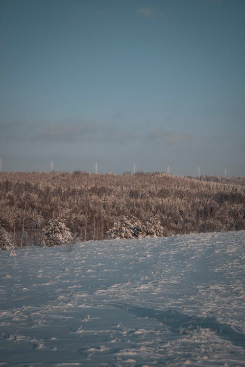 겨울, 눈 덮힌 땅, 들판의 무료 스톡 사진