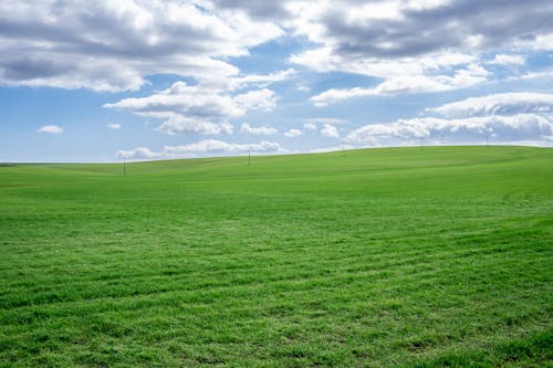 Green Grass Field Under the Sky and Clouds