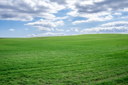 Gratis lagerfoto af bane, græs, himmel