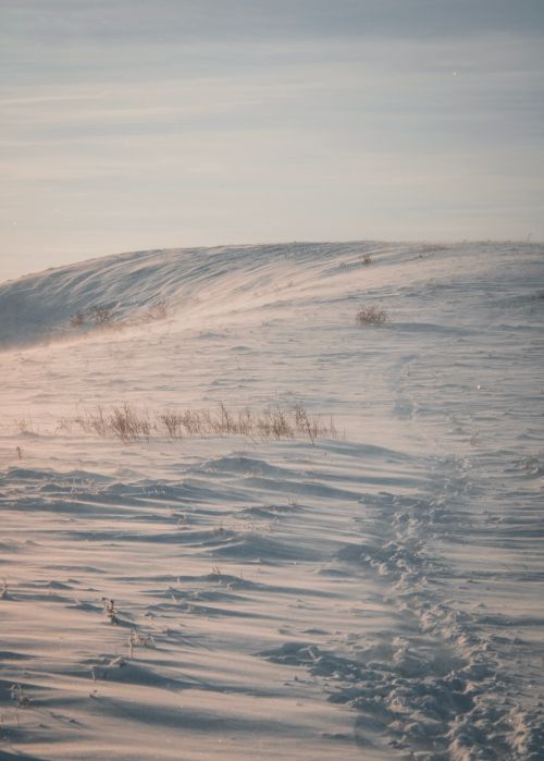 Free Tranquil snow-covered hill under soft winter sunlight, capturing serene natural beauty. Stock Photo