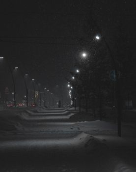 Atmospheric winter night scene with illuminated street lamps and falling snow.
