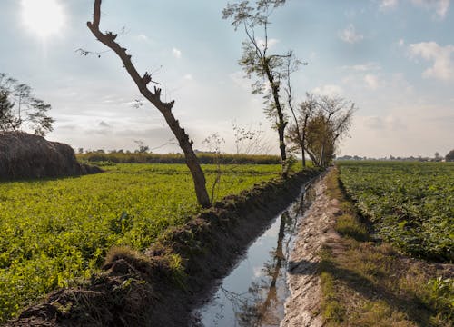 Бесплатное стоковое фото с водоем, деревня-сцена, зеленый