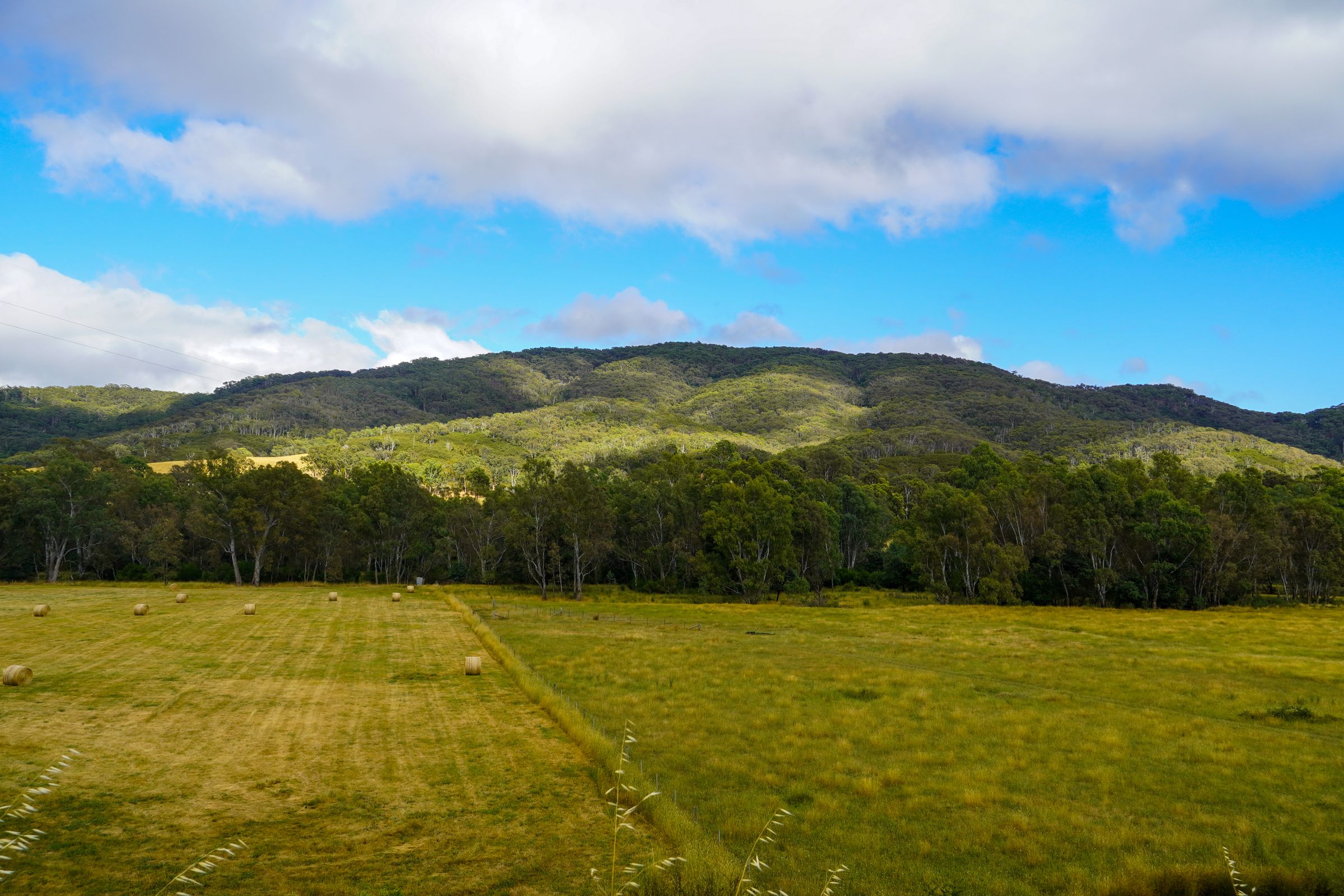 Blue Mountains Wentworth Falls