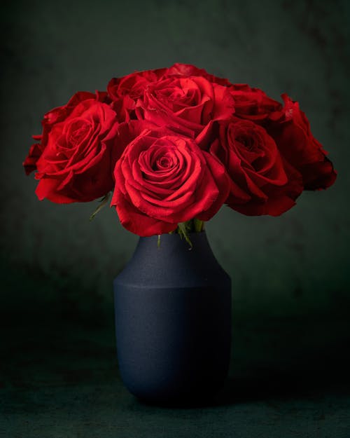 기념일, 꽃, 꽃병의 무료 스톡 사진