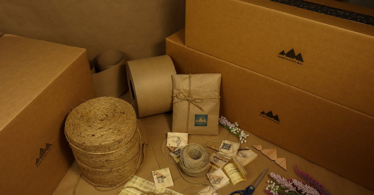 Emballages de Cadeaux Originaux et Écologiques