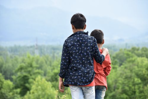 Free Two boys stand together outdoors, one with a hand on the other's shoulder, gazing at a scenic landscape. Stock Photo