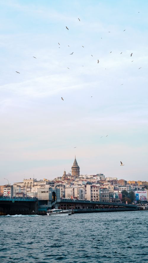 Free Scenic view of the Galata Tower with birds flying over the Bosphorus in Istanbul. Stock Photo