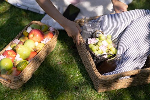 Fruits in Picnic Baskets