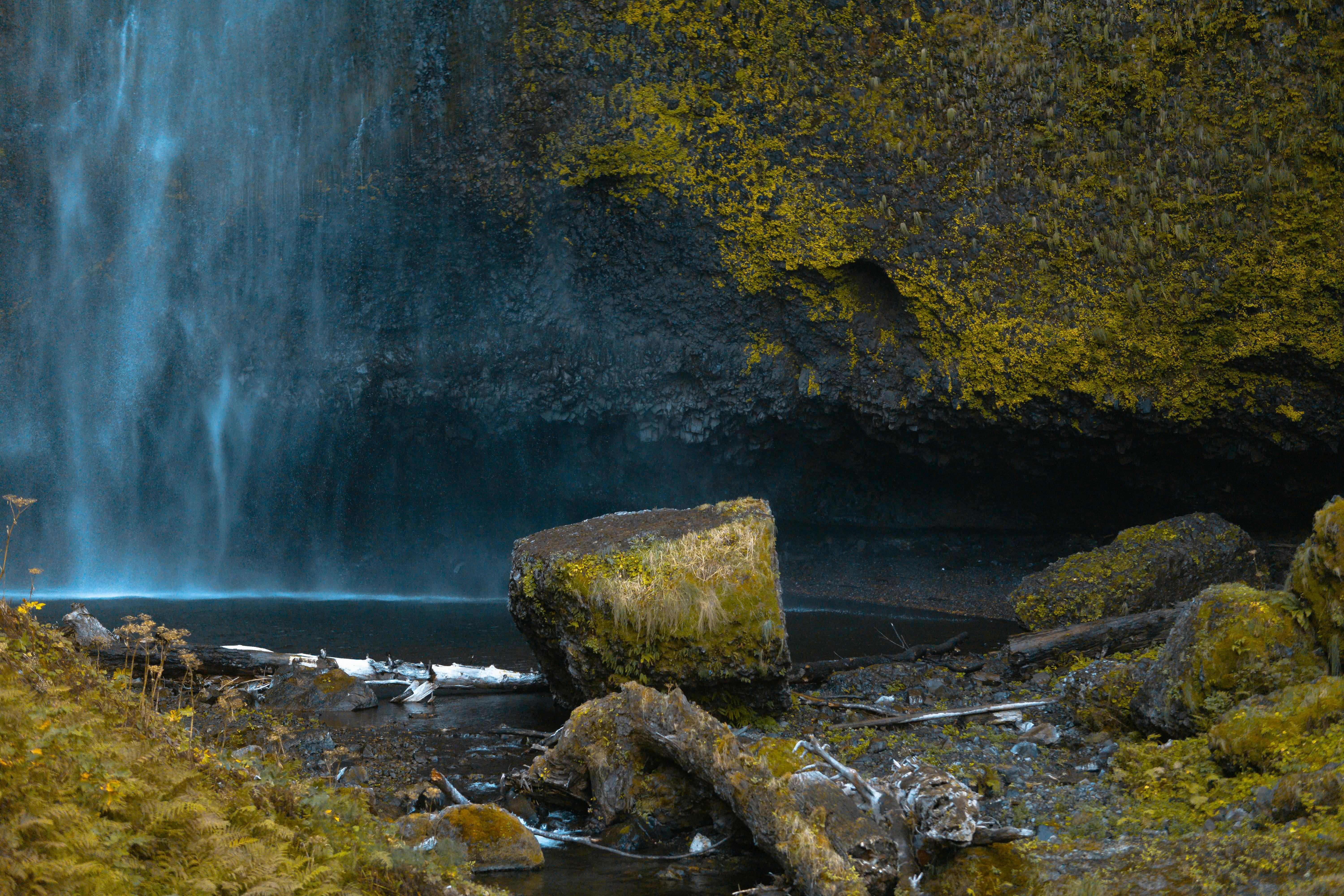 An outdoor cold plunge pool surrounded by nature for cold therapy.