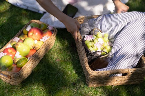 Free Baskets with Fruits Stock Photo