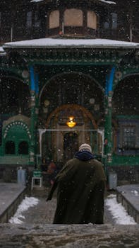 Back view of person facing ornate building in snowfall, creating a winter street scene.
