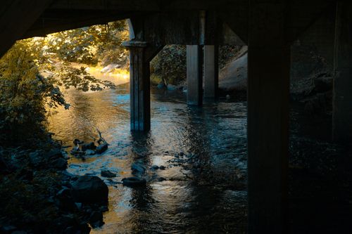 Free A tranquil river flows under a bridge surrounded by lush greenery and sunlight filtering through. Stock Photo