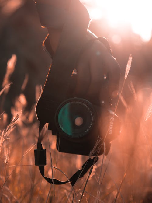 Gratis lagerfoto af græs, hånd, holde