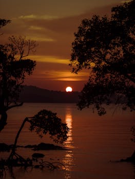 Serene early sunrise view with reflections and trees, capturing nature's beauty in India.