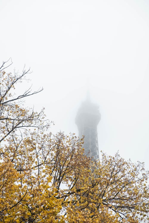 Tower Under a Foggy White Sky Beside an Autumn Tree