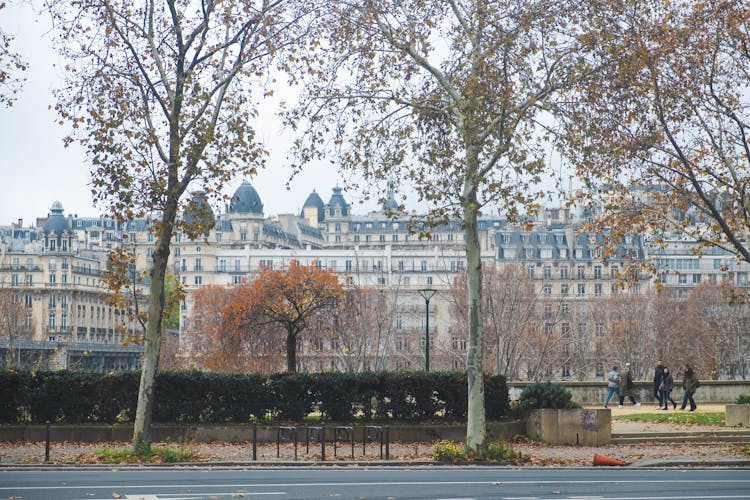 Old Building Near Autumn Park